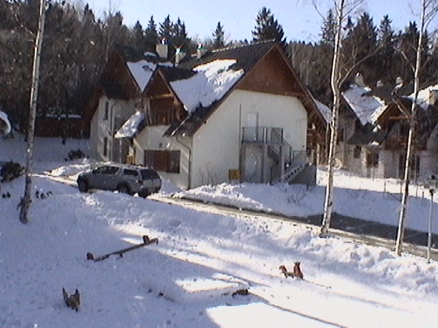 Widok z kamery na domki
